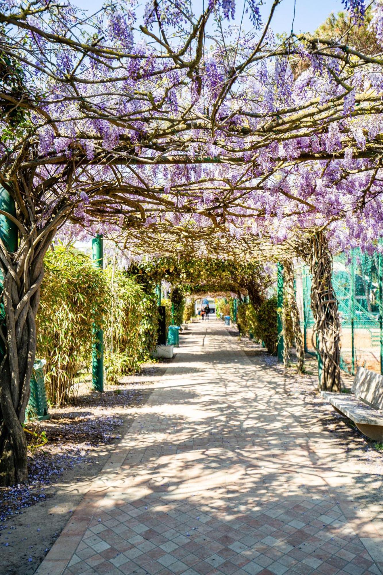Marepineta Resort Milano Marittima Exteriör bild